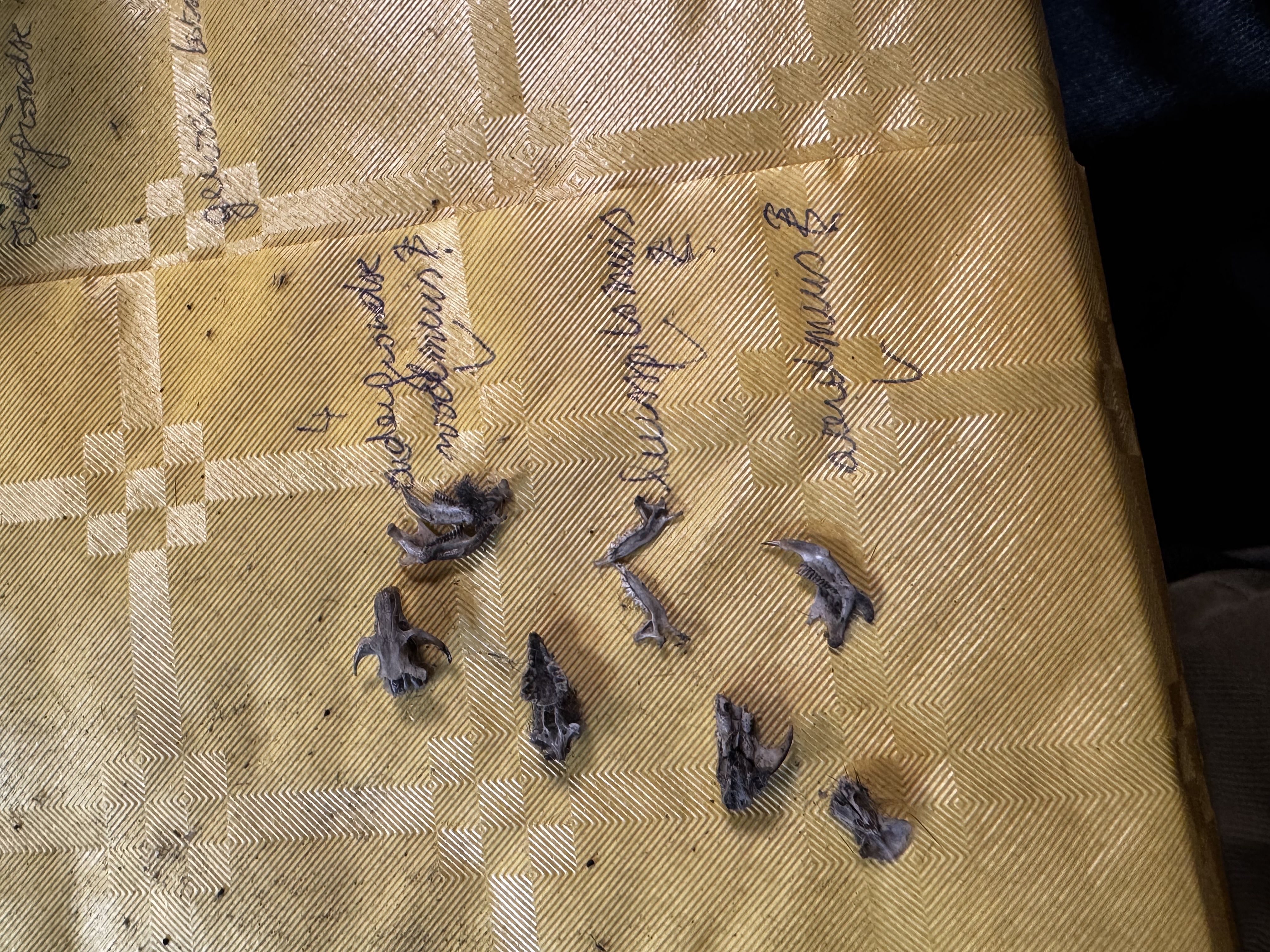 Overview of contents of one pellet.